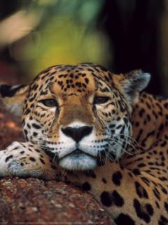 Other Wallpapers 0715